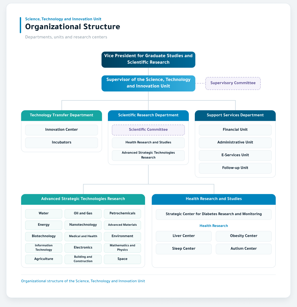 Organizational structure of the Science, Technology and Innovation Unit